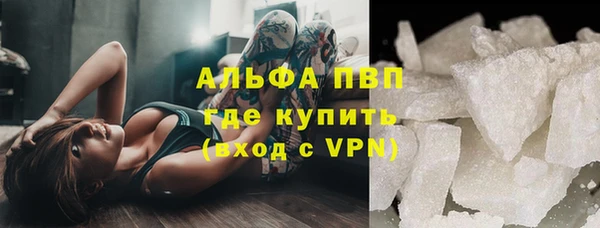 PSILOCYBIN Волосово