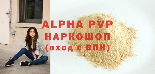 PSILOCYBIN Волосово
