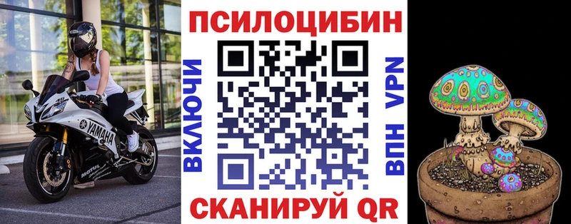 Псилоцибиновые грибы Psilocybe  Донской 